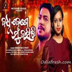 Badhu Bese Mu Basichi